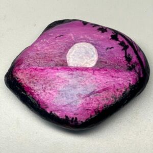 Hand Painted Rock